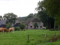 Hallenhuisboerderij Veeningen